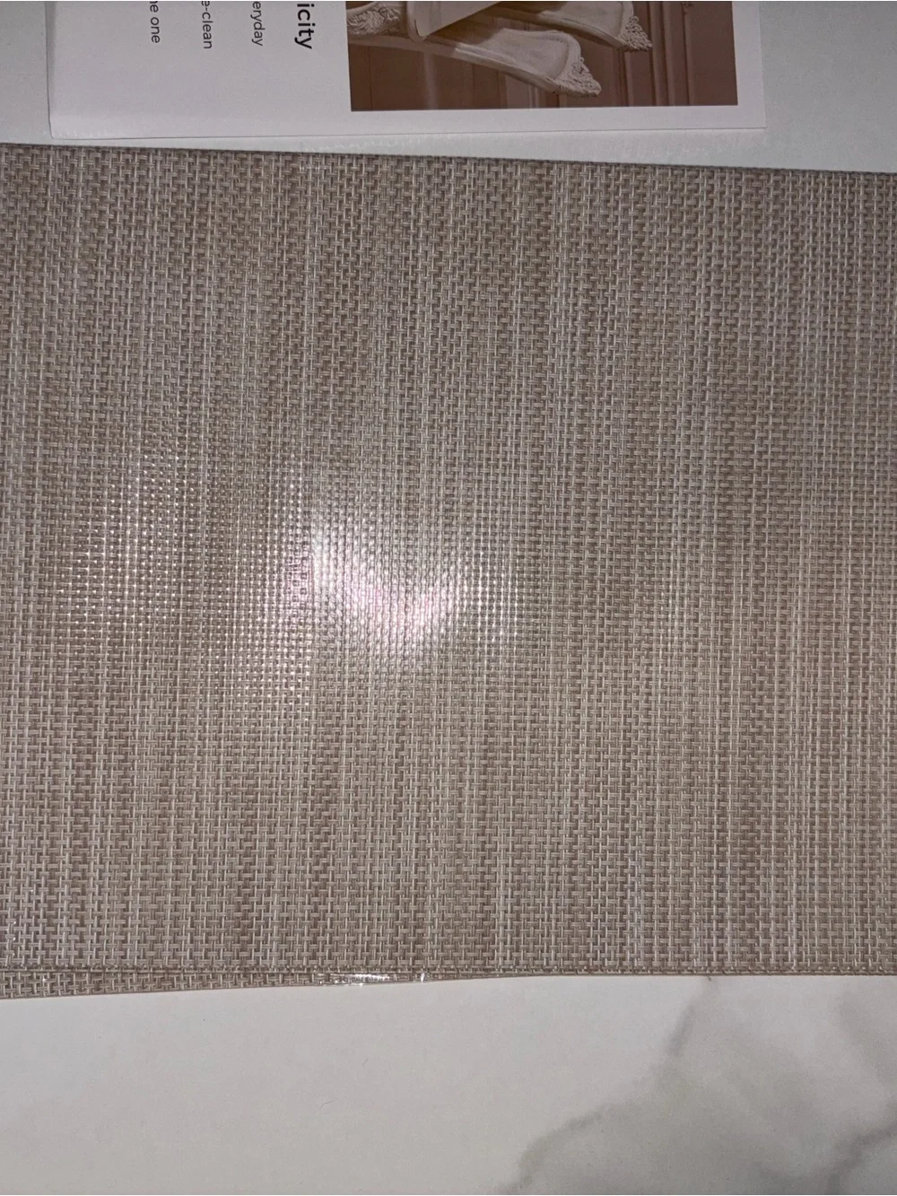 Beige Taupe Woven Placemat Set